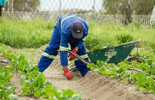 Quels avantages de l'agriculture bio ?