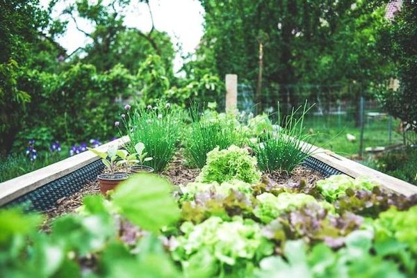 Comment l'agriculture bio aide-t-elle l'environnement ?