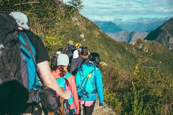 Comment tirer le meilleur parti d'une classe verte ?