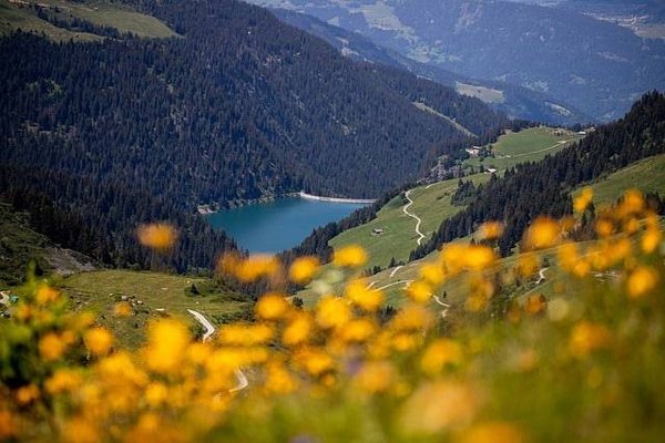 Comment profiter de vacances en Savoie en camping eco-responsable ?